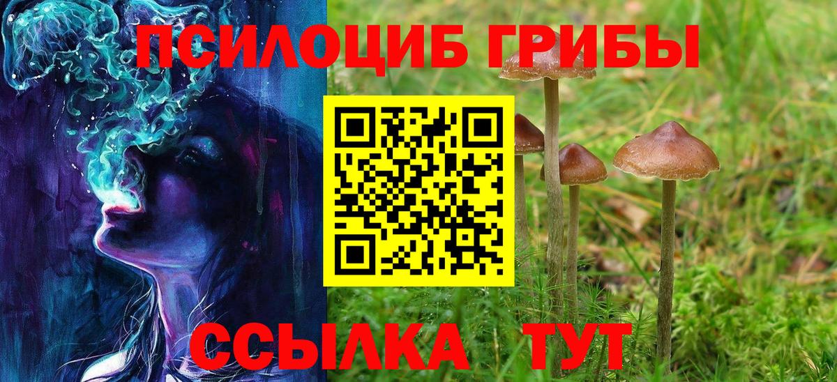 Холмск  Псилоцибиновые грибы Cubensis  Галлюциногенные грибы Psilocybe  Вход с VPN 